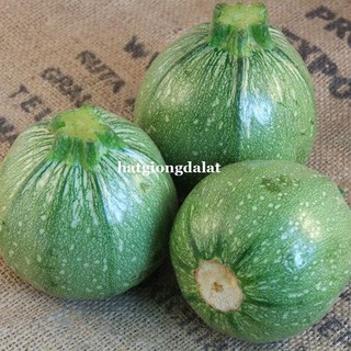 10 Hạt - Hạt Giống Bí Ngòi Tròn Phương Nam