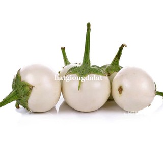 1 Gram - Hạt Giống Cà Pháo Trắng Phương Nam