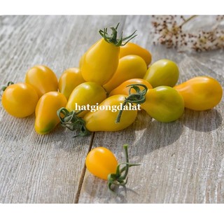 30 Hạt - Hạt Giống Cà Chua Cherry Lê Vàng Phương Nam