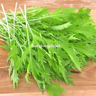 10 Gram - Hạt Giống Cải Đuôi Phụng Phương Nam