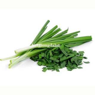 1 Gram - Hạt  Giống  Hẹ Phương Nam
