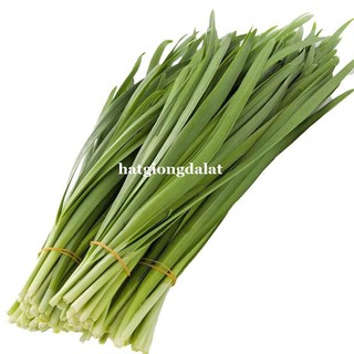 1 Gram - Hạt  Giống  Hẹ Phương Nam