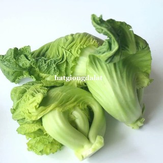 20 Gram - Hạt Giống Cải Bẹ Dưa Phương Nam