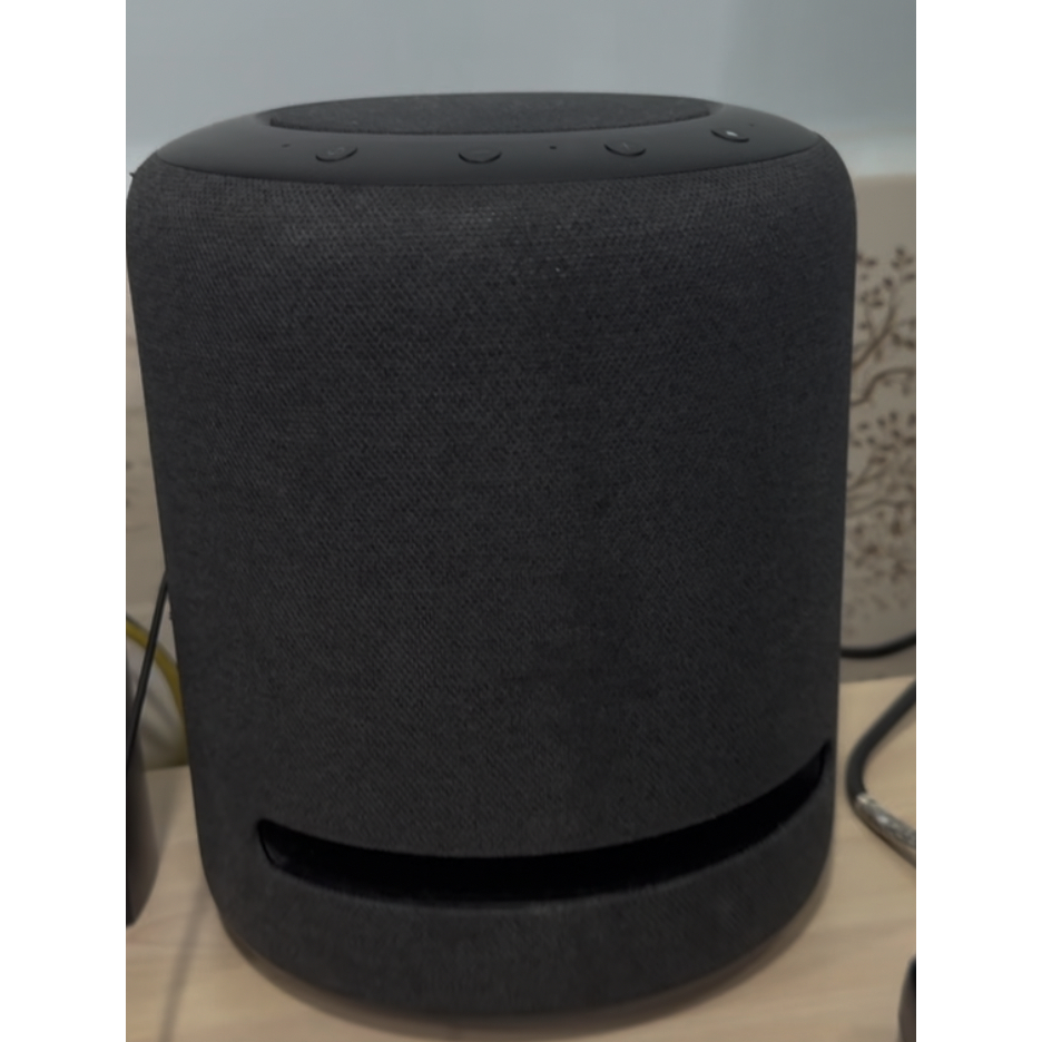 Loa amazon, Google, thương hiệu loa đã qua sử dụng...