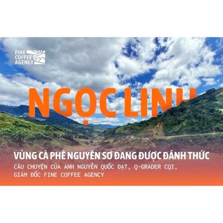 Cà Phê Arabica Ngọc Linh Nguyên Chất - Hương Vị Núi Rừng Tinh Túy (150 Gram)