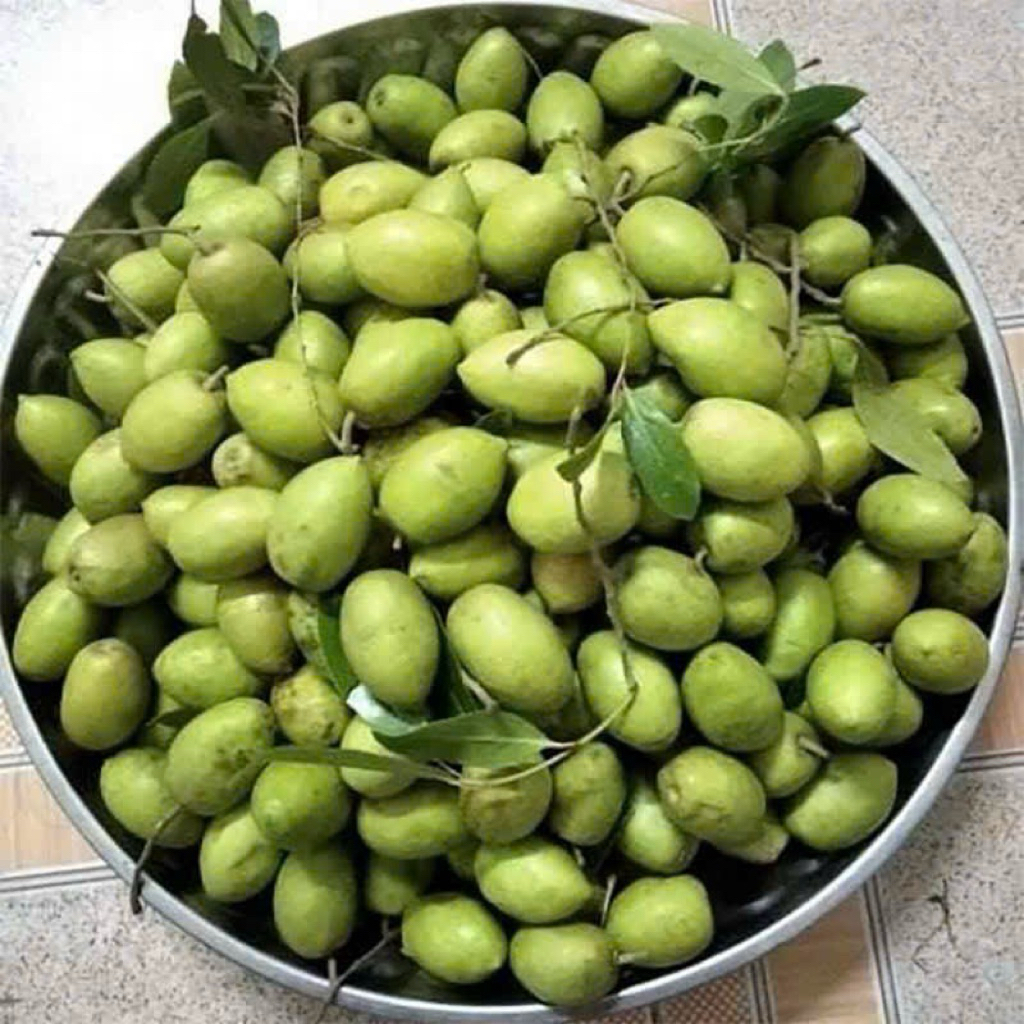 TRÁI CÀ NA TƯƠI , có vị chua và chát ,CHỈ GIAO MIỀN NAM