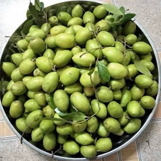 TRÁI CÀ NA TƯƠI , có vị chua và chát ,CHỈ GIAO MIỀN NAM