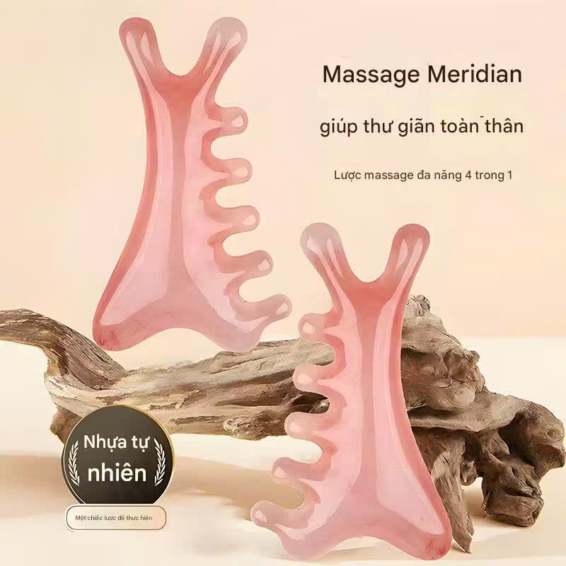 Combo 2 Lược Mát Xa Cá Heo Nhỏ 4 Trong 1, Lược Mát Xa Da Đầu, Trị Liệu Đầu, Dụng Cụ Cạo Rãnh, Mặt, Mũi