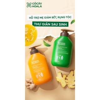 Dầu Gội Xả Hữu Cơ Gừng Sả Cỏ Cây Hoa Lá - Ngăn Dầu Bết Tóc Và Giảm Gàu Ngứa 500g