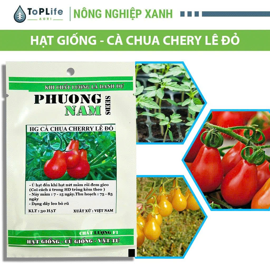 Hạt Giống Cà Chua Chery Lê Đỏ Hương Vị Thơm Ngon Thích Hợp Trồng Tại Nhà Vườn Nhỏ Phương Nam Seeds