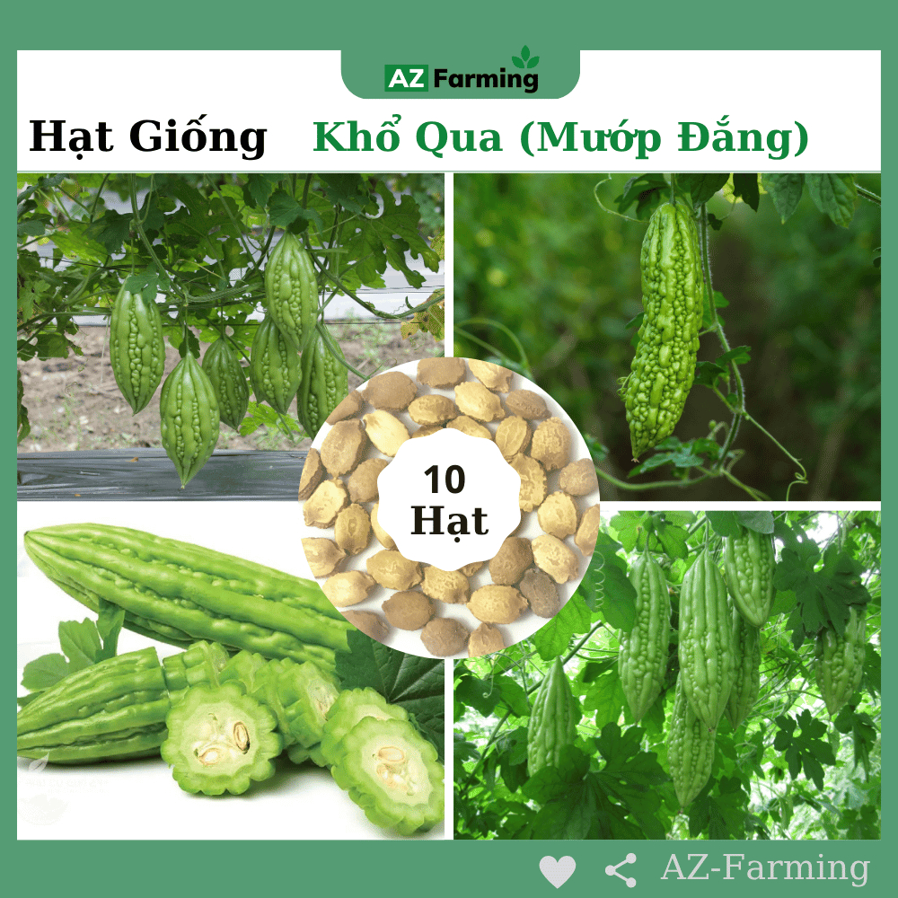 Hạt Giống Khổ Qua (Mướp Đắng) - Gói 10 Hạt - AZ Farming