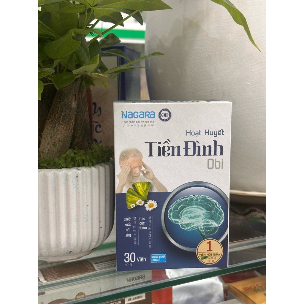 Hoạt Huyết Tiền Đình Naga – Hỗ Trợ Tuần Hoàn Máu Não, Giảm Hoa Mắt, Chóng Mặt
