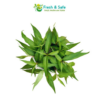 [Chỉ Giao HCM] Rau răm - 200gr (Sỉ)