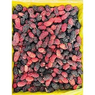 HỘP 3 KG DÂU TẰM TƯƠI NGUYÊN TRÁI