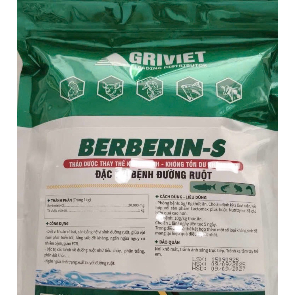 Berberin 1kg, cân bằng hệ vi sinh đường ruột, ngăn ngừa các bệnh như tiêu chảy, phân trắng,phân đứt 