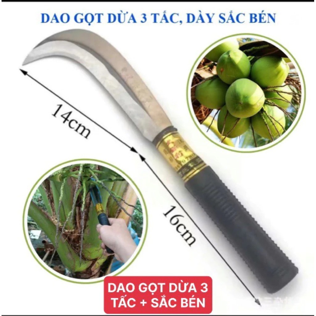 Dao Rửa Dừa Vệ Sinh Gốc Dừa Lưỡi Cong Siêu Sắc SK5 – 3 Tấc Cán Dài Tán Đinh Chắc Chắn