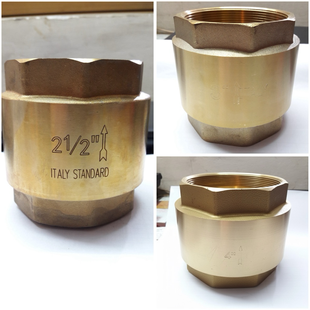 Lupe van 1 chiều lò xo đồng phi 76 90 114