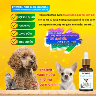 Thảo dược POWAIR h.ỗ trợ giả.m ho, thông khí quả.n, lon.g đờ.m, h,ô hấ,p mãn tính ở Chó Mèo