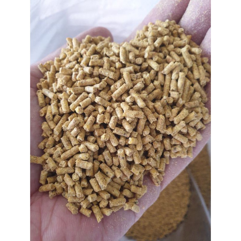 (Hỏa Tốc) Bao 25KG Cám Men Bio zeem 22 42 Gà Lớn Cám Bio Gà Giò Cám Có Men Gà Tơ Cám Gà Thịt Cao Cấp