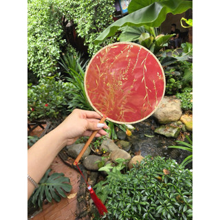 Quạt Múa Trung Quốc Trong Suốt,Quạt Múa Lý Tiểu Thất, Quạt Múa Sư Phụ