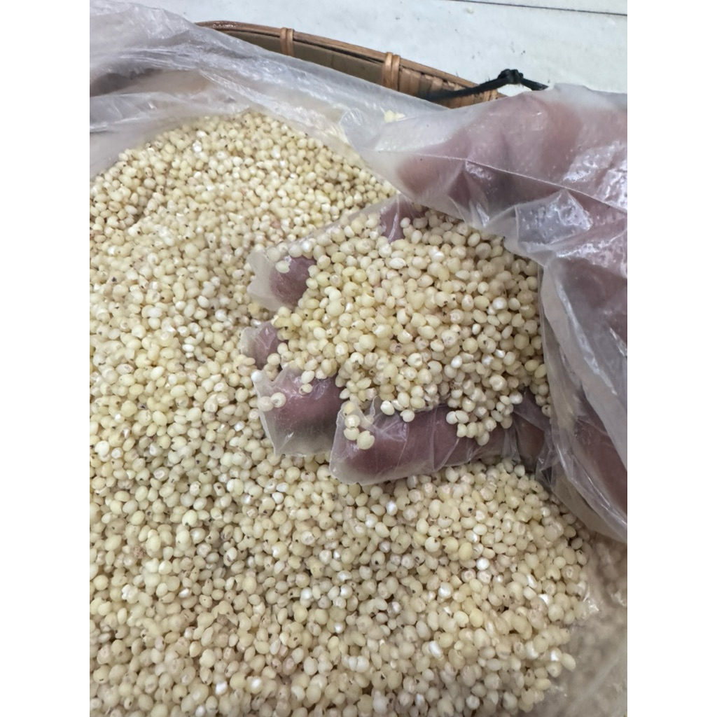 Hạt ý dĩ ,hạt bobo thường , nấu cháo, chè, hầm gà, pha trà lợi sữa sau sinh, bồi bổ sức khỏe