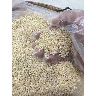 Hạt ý dĩ ,hạt bobo thường , nấu cháo, chè, hầm gà, pha trà lợi sữa sau sinh, bồi bổ sức khỏe