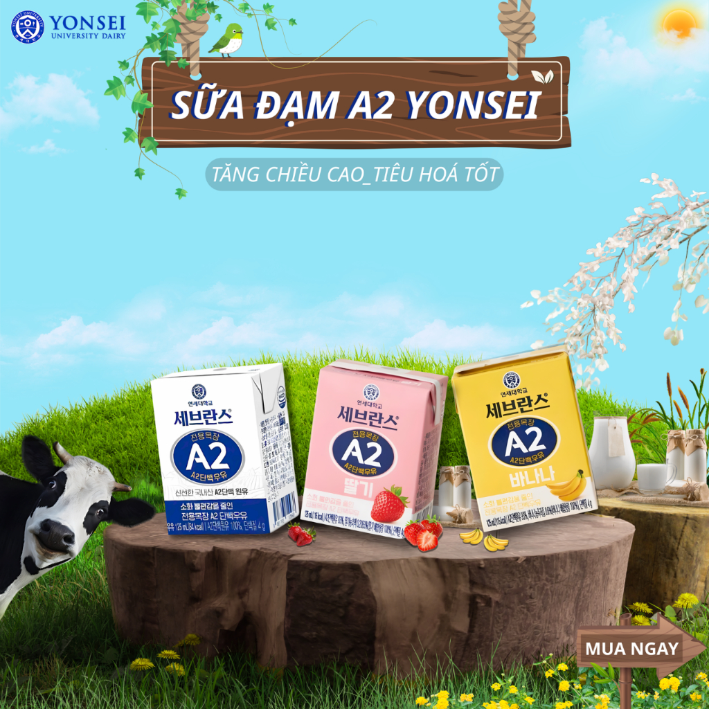 Sữa Tươi Nguyên Chất Đạm A2 Yonsei Hàn Quốc