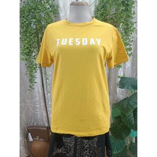 FIVEC BRAND thanh lý - Áo thun Tuesday bymo - Size L