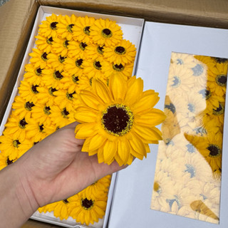   SỈ LẺ RẺ  50 bông hoa hướng dương sáp làm bó hoa Handmade tặng quà tốt nghiệp. 