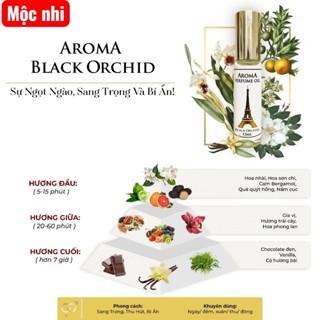 Tinh Dầu Nước Hoa Nữ AROMA BLACK ORCHID – Hương Lan Đen Quyến Rũ, Lưu Hương Lâu – Dạng Lăn Mini