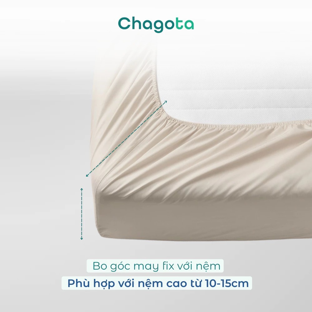 [Giá Tốt] Ga giường lụa Silk Ice Chagota Bedding Size 1m2 đến 2m2 có nhiều màu bo chun 4 góc Mát Lạnh Style Hàn Quốc | BigBuy360 - bigbuy360.vn