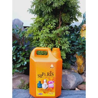 Nước giặt can 5L hương hoa pháp