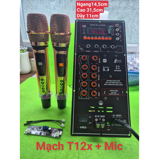 MẠCH LOA KÉO 14,5cm x 31,5cm DSP reverb T12x