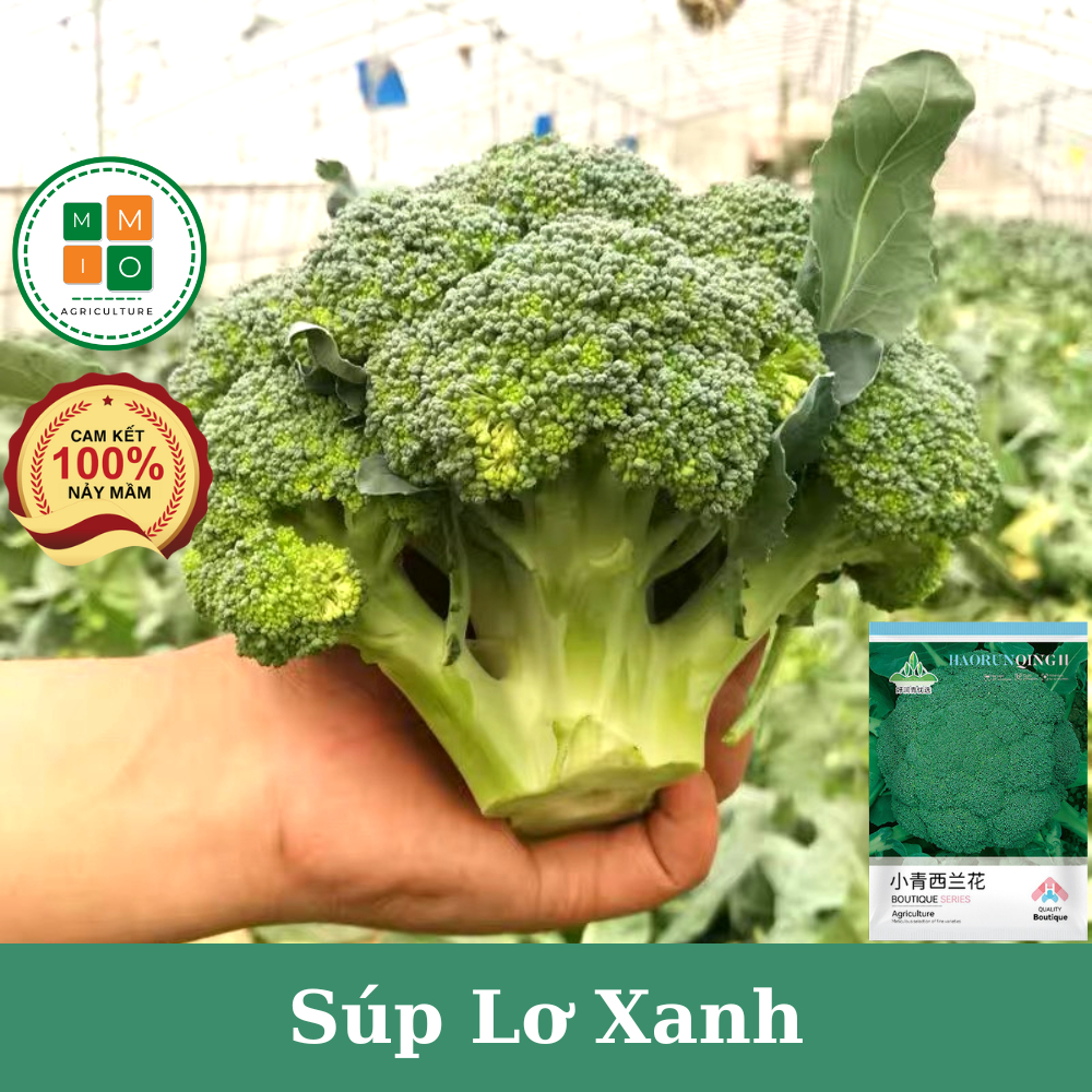 Hạt giống súp lơ xanh