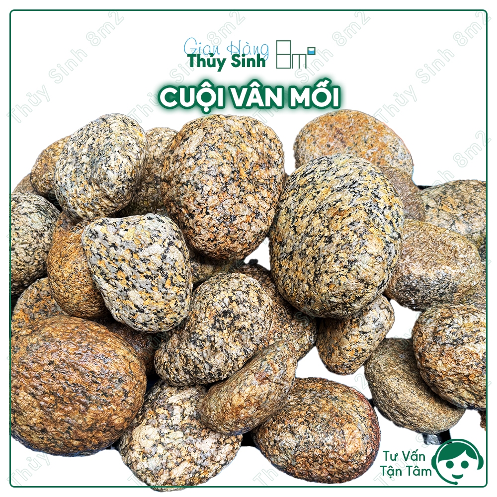 (1 KG) Cuội Vân Mối | Đá Cuội Trang Trí Hồ Cá, Hồ Tép, Biotop, Hồ Suối, Layout Thủy Sinh | 8m2