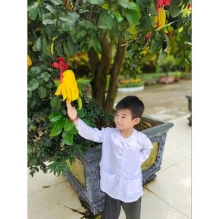 (6-30kg) Bộ bà ba trắng cho bé trai, bé gái
