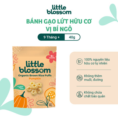[HSD 10/2027] Bánh gạo lứt ăn dặm hữu cơ Litte Blossom Vị Bí Ngô/Bí Đỏ 40g cho bé 9 tháng tuổi+