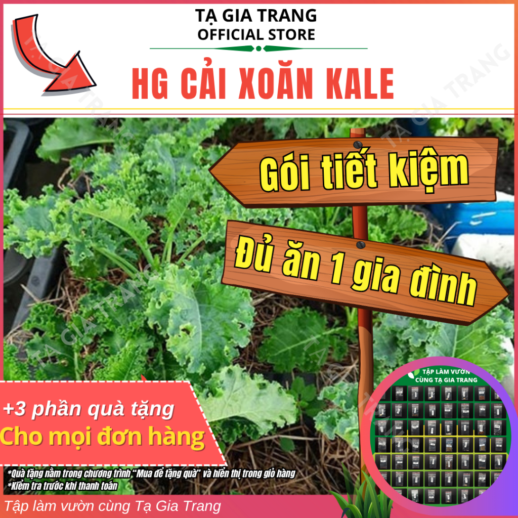 [Deal Tiết kiệm] - Hạt Giống Cải Xoăn Kale - Tập Làm Vườn Cùng Tạ Gia Trang
