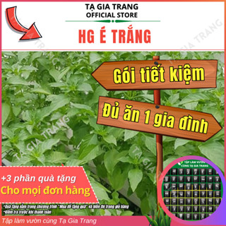 [Deal Tiết kiệm] - Hạt Giống Lá É Trắng (Rau Thơm Sả) - Tập Làm Vườn Cùng Tạ Gia Trang