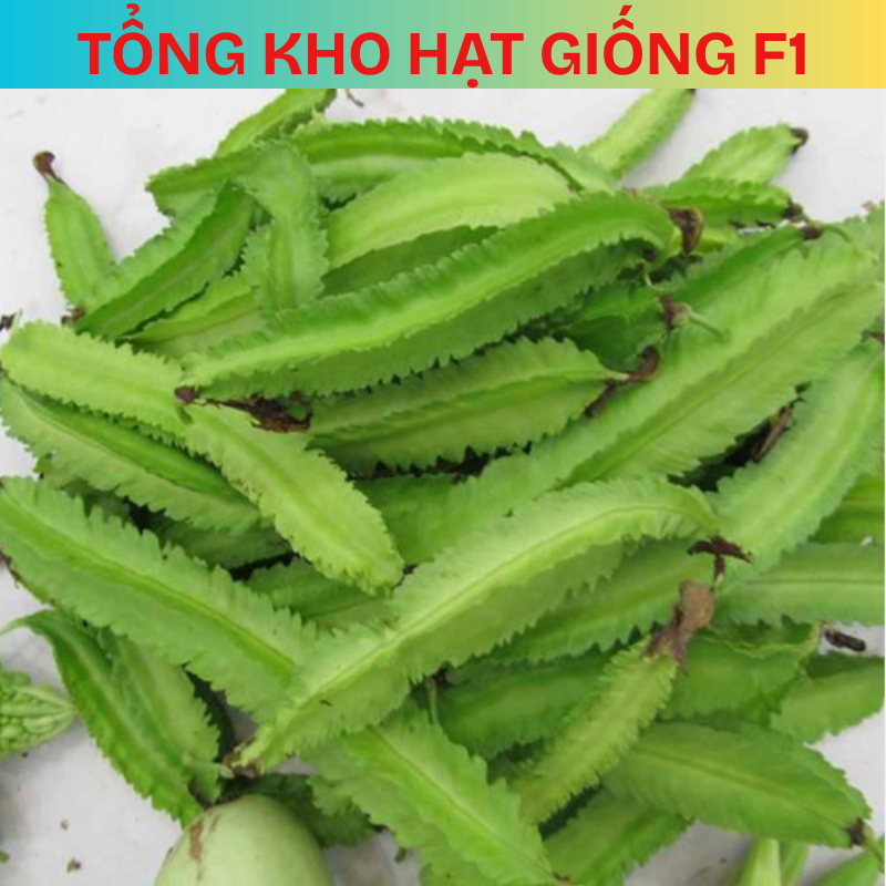 [20 Hạt] Hạt giống Đậu Rồng , Đậu Khế dễ trồng năng suất cao(Tặng phân bón)