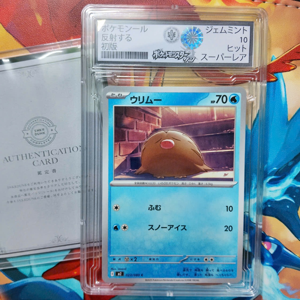 Thẻ Grade 10 bandai chính hãng Swinub 023/080 Pokemon d70 JP1 12