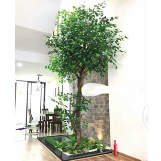 Cây Lá Xanh Dáng Cổ Thụ – Cây Giả Thân Gỗ Lá Cao Su Non Trang Trí Nội Thất, Quán Cà Phê, Văn Phòng QDECOR
