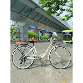 Xe đạp Thống Nhất LD We bare bears