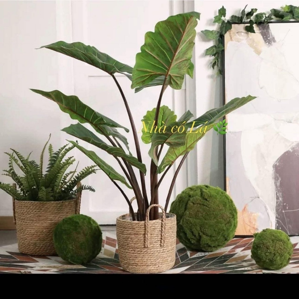 Cây Môn Tím Alocasia Giả Decor Tiểu Cảnh, Cây Lá Môn Tím 1m Trang Trí Nhà Cửa- Văn Phòng, Cây Giả Lá