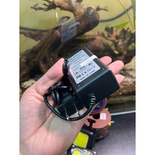 Adapter Nguồn Đàn Organ Casio CTK-900