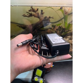 Adapter Nguồn Đàn Organ Casio CTK-900