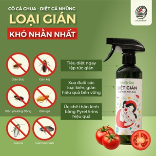  Xịt Diệt Kiến Gián Đuổi Ruồi Muỗi Côn Trùng Cô Cà Chua Thiên Nhiên Hương Oải Hương Hoa Cúc An Toàn Cho Sức Khỏe BY 