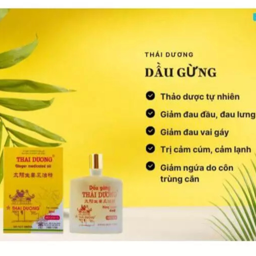 Dầu gừng thái dương [6ml /24ml] chính hãng