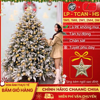  Cây Thông Noel Pe 2 Loại Lá Phủ Tuyết - Cây Thông Noel Phủ Tuyết 1m5 1m8 2m1 Cây Tự Động Tán Rộng 