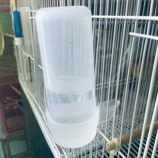 Cóng nước cho chim cảnh , nhựa dẻo loại tốt